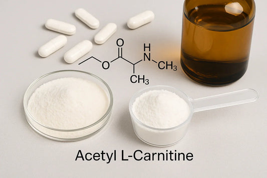 White crystalline Acetyl L-Carnitine powder in petri dish and scoop, capsules, and glass beaker on a neutral lab bench.