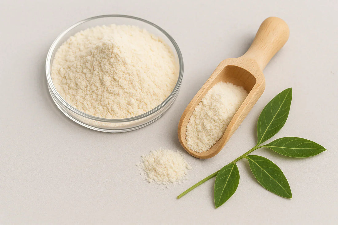 Guar gum powder in a glass dish with wooden scoop and guar leaves.